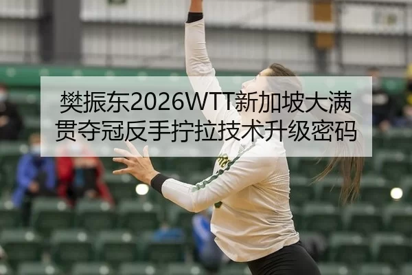 樊振东2026WTT新加坡大满贯夺冠反手拧拉技术升级密码